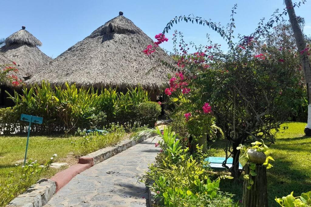 Apartmán Sol Y Mar. Delfines Ixtapa  Exteriér fotografie