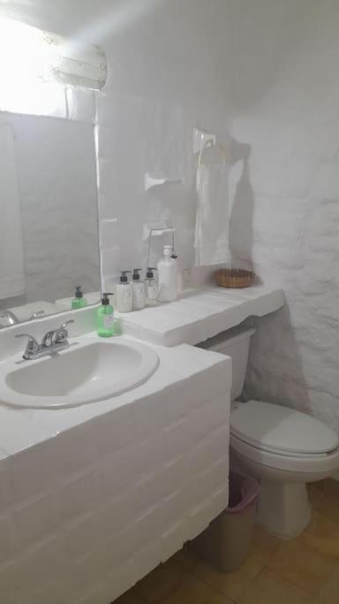 Apartmán Sol Y Mar. Delfines Ixtapa  Exteriér fotografie