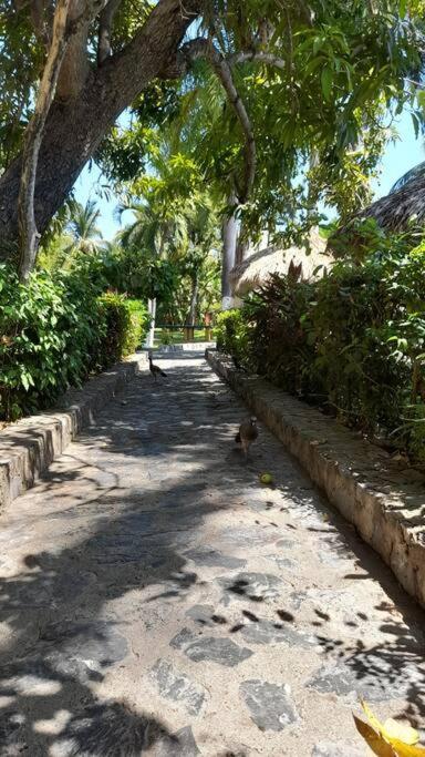 Apartmán Sol Y Mar. Delfines Ixtapa  Exteriér fotografie