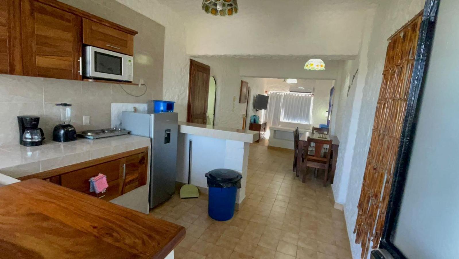 Apartmán Sol Y Mar. Delfines Ixtapa  Exteriér fotografie